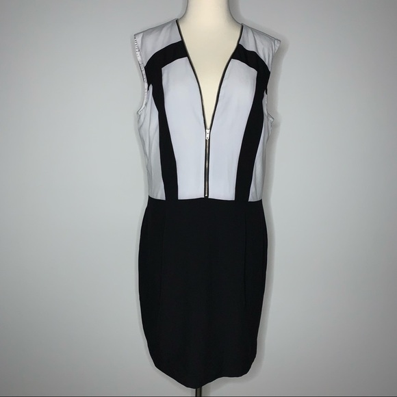 Gianni Bini Dresses & Skirts - Gianna Bini Zip Top Dress